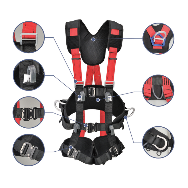 FP050 Corpus Safety Plena Cingulum